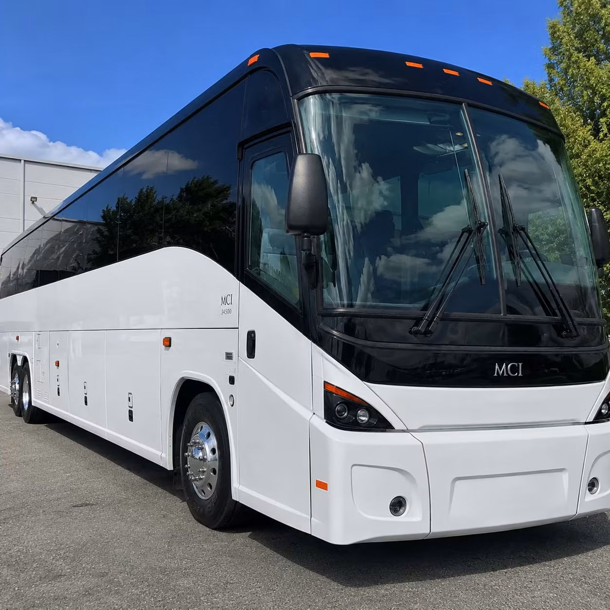 56 passenger charter bus
